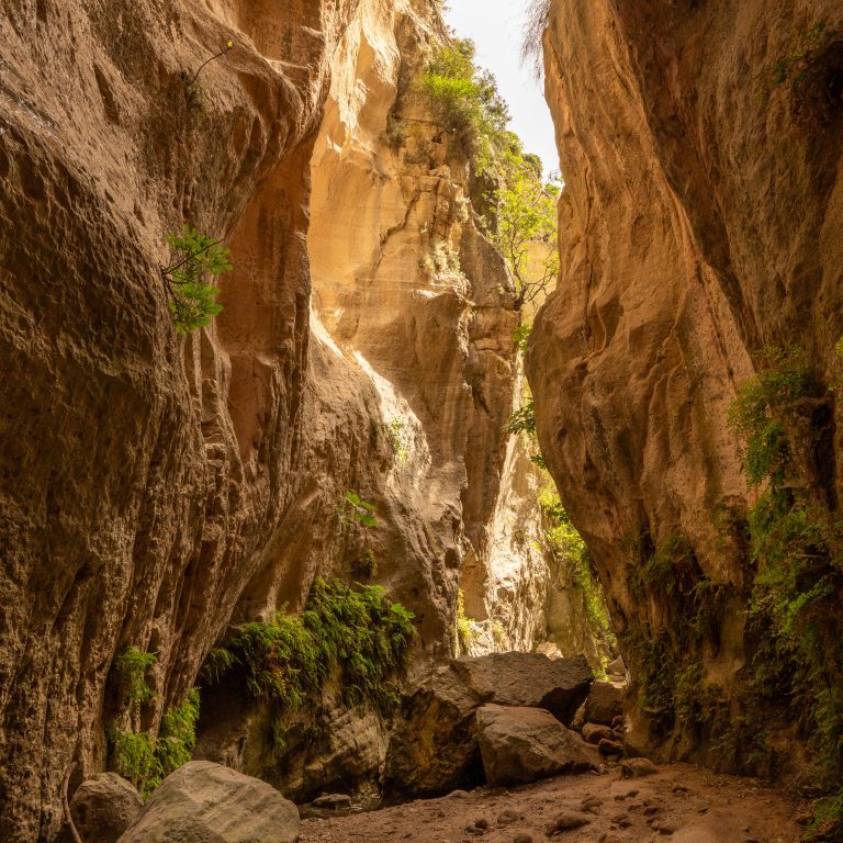 Avakas Gorge